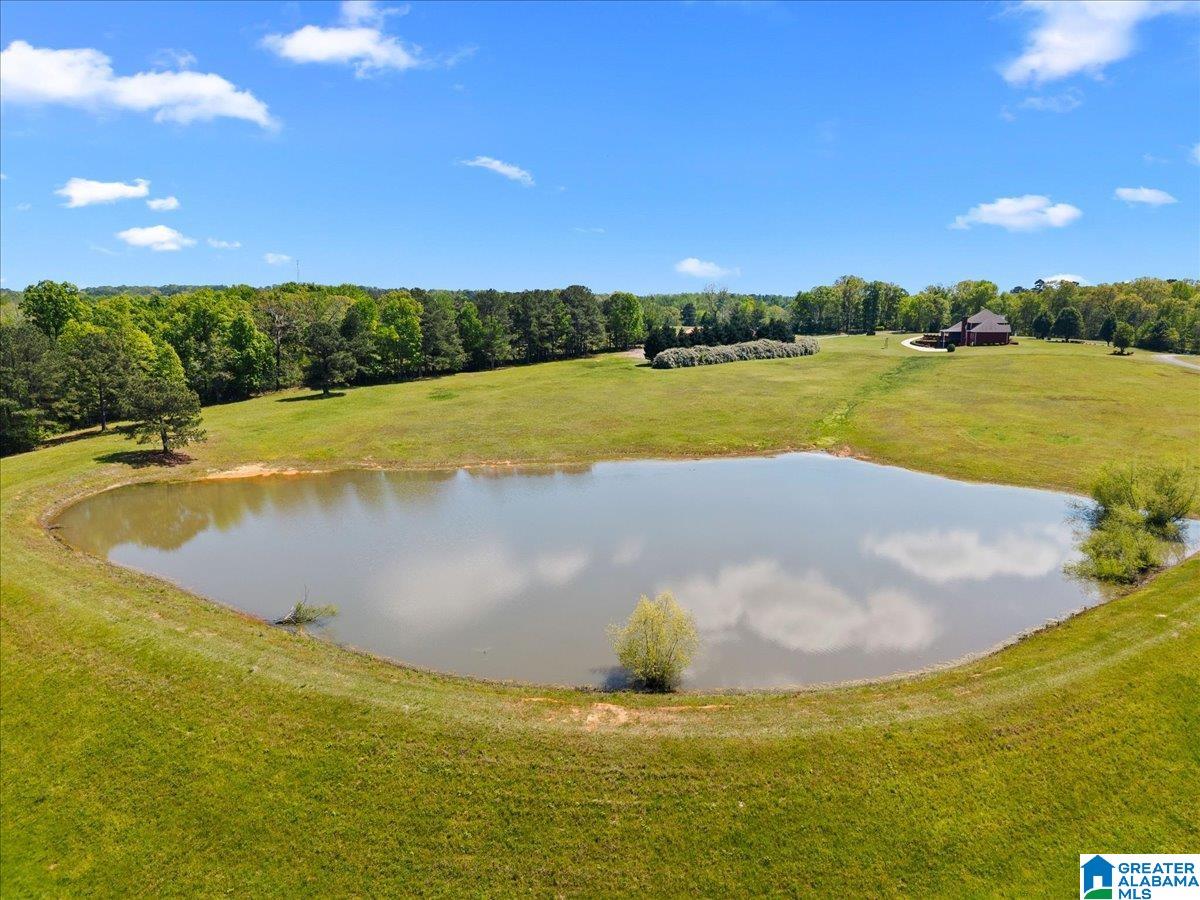 9781 Shipptown Road Empire, AL 35063 - Photo 6 of 45
