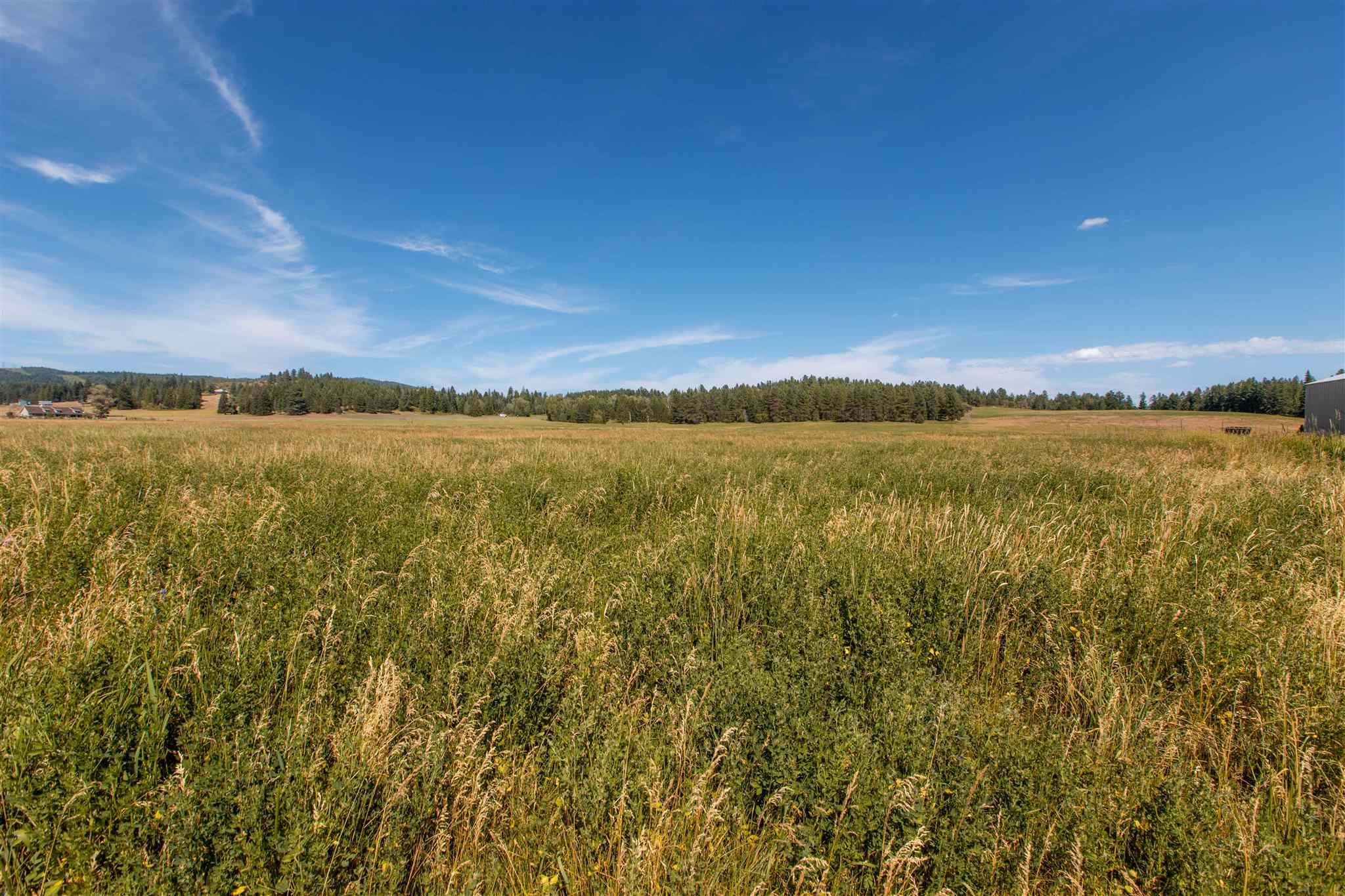 2042 Allen Road Elk, WA 99009 - Photo 25 of 50