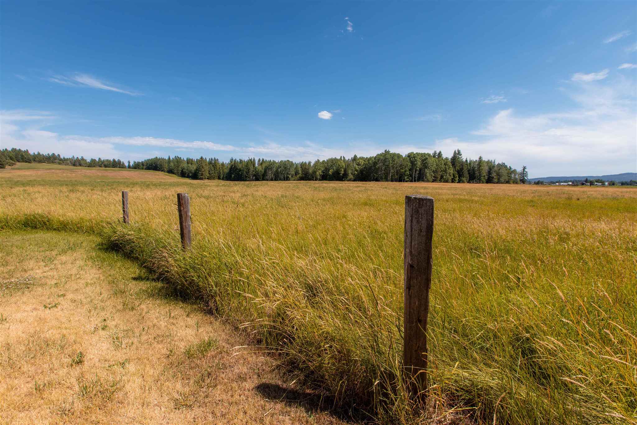 2042 Allen Road Elk, WA 99009 - Photo 9 of 50