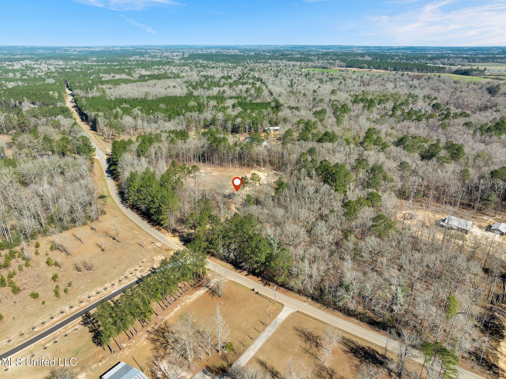 7.26-acres Lott Town Road Hattiesburg, MS 39402 - Photo 11 of 17 310_Lott_Town_Rd-11