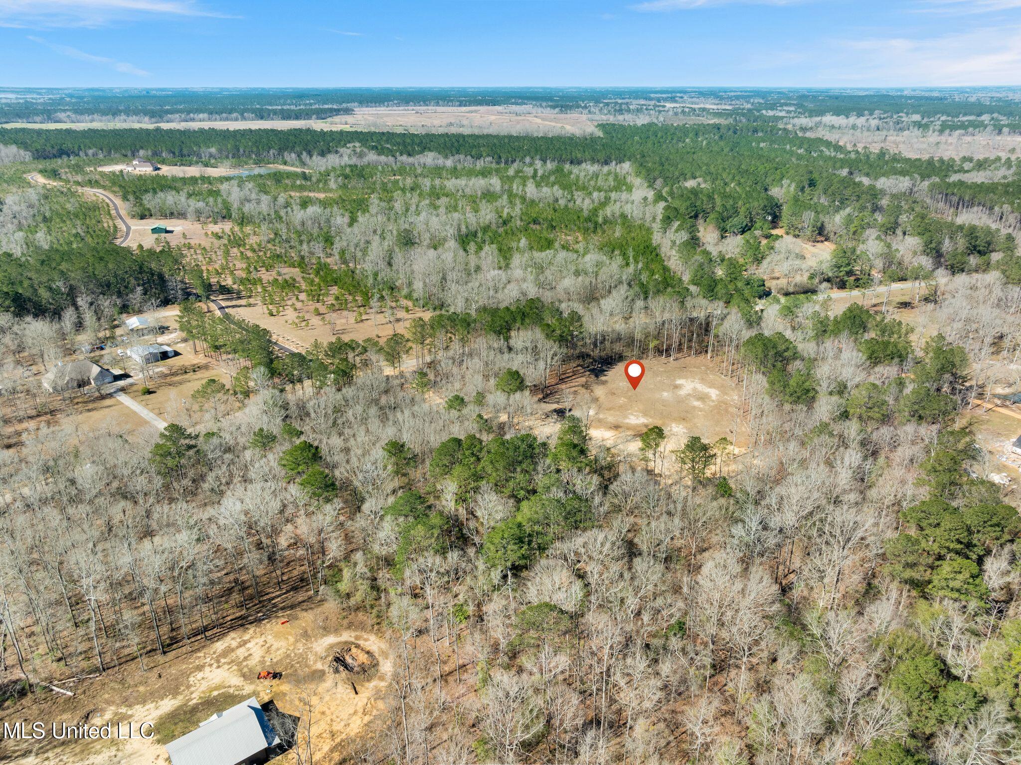 7.26-acres Lott Town Road Hattiesburg, MS 39402 - Photo 13 of 17 310_Lott_Town_Rd-13