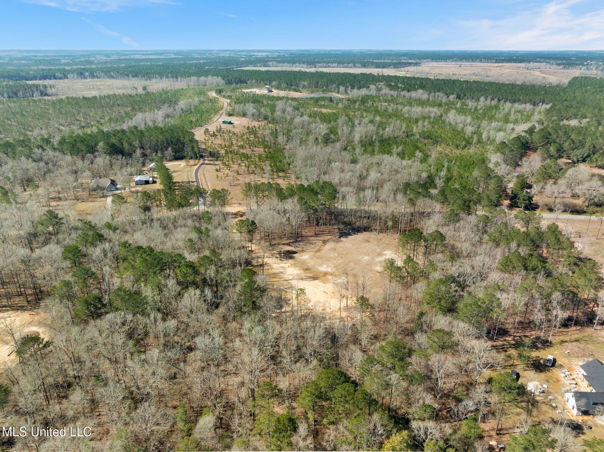 7.26-acres Lott Town Road Hattiesburg, MS 39402 - Photo 14 of 17 310_Lott_Town_Rd-14