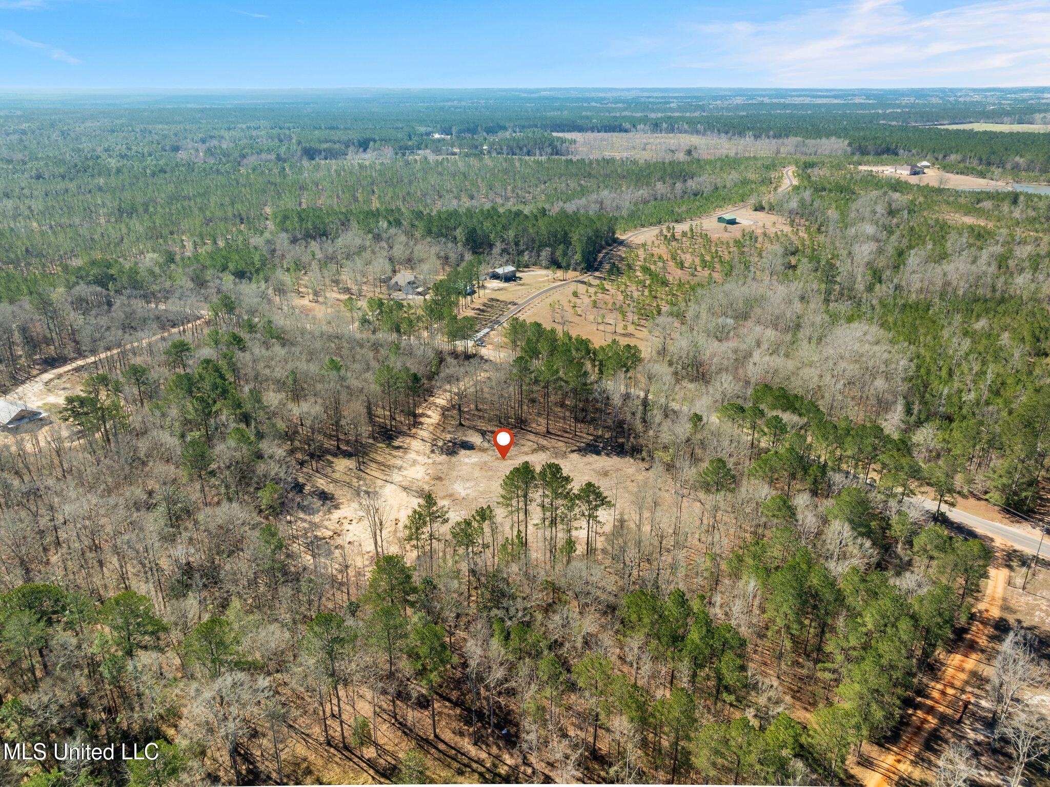 7.26-acres Lott Town Road Hattiesburg, MS 39402 - Photo 15 of 17 310_Lott_Town_Rd-15