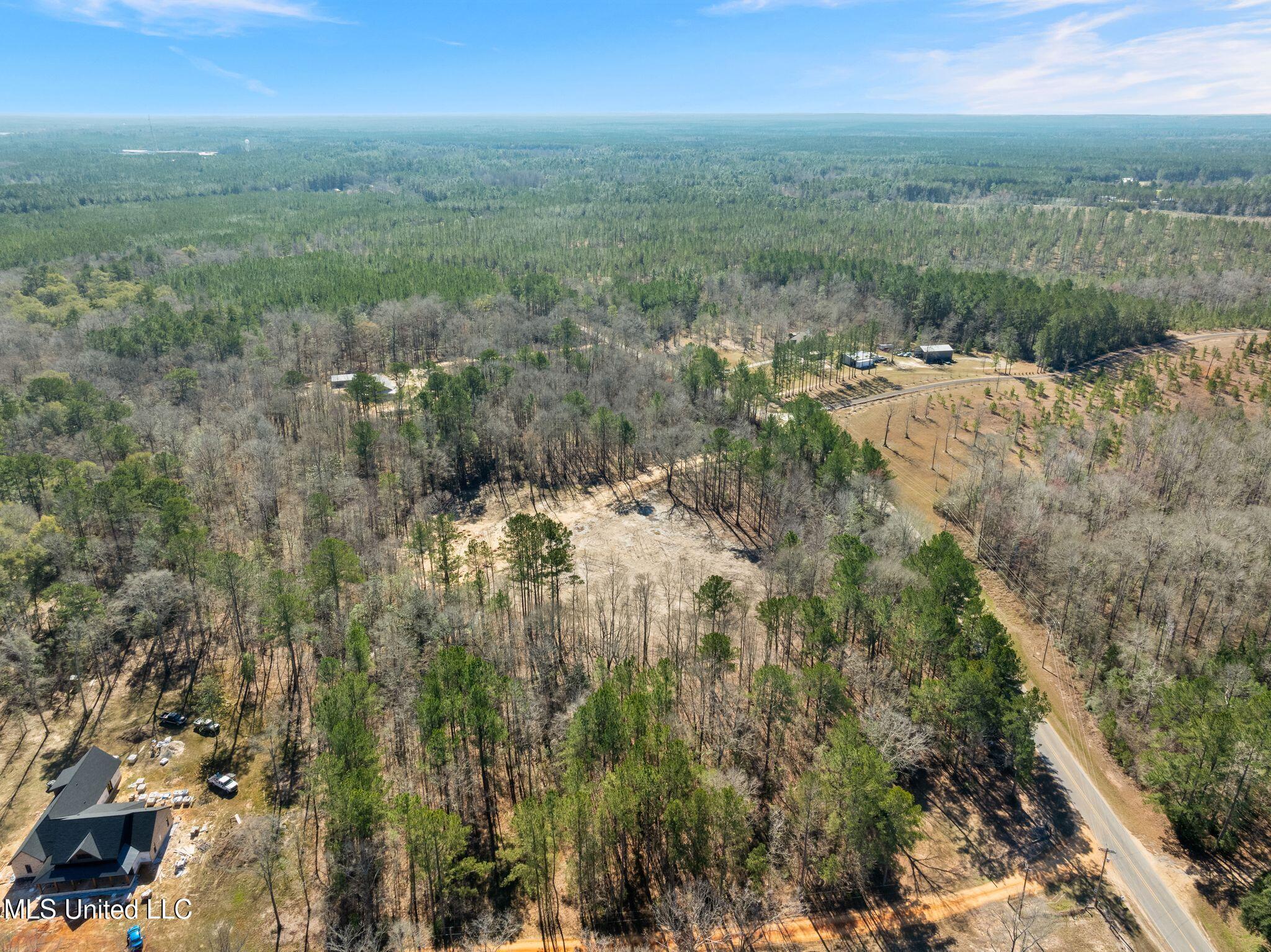 7.26-acres Lott Town Road Hattiesburg, MS 39402 - Photo 16 of 17 310_Lott_Town_Rd-16