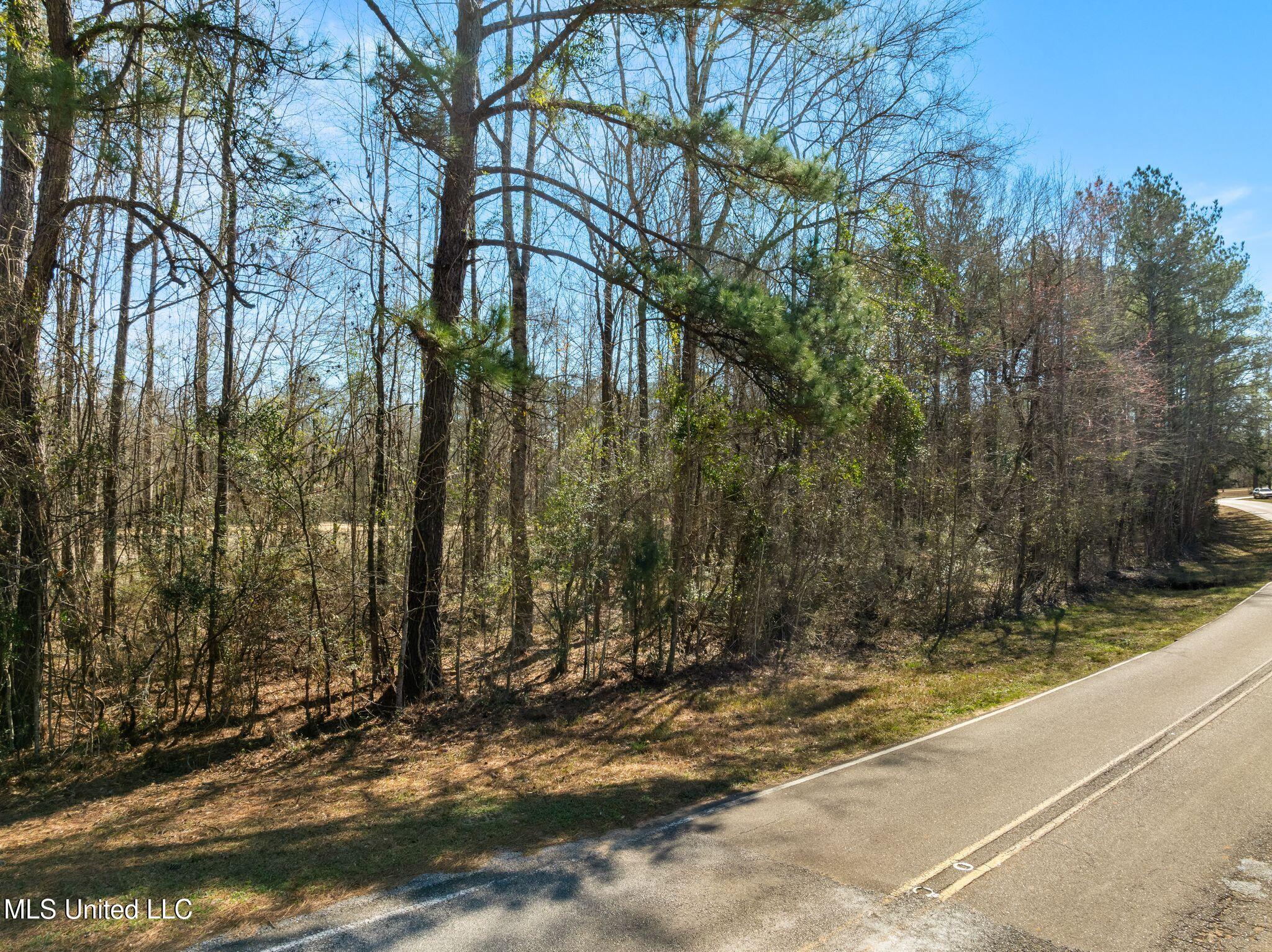 7.26-acres Lott Town Road Hattiesburg, MS 39402 - Photo 3 of 17 310_Lott_Town_Rd-3