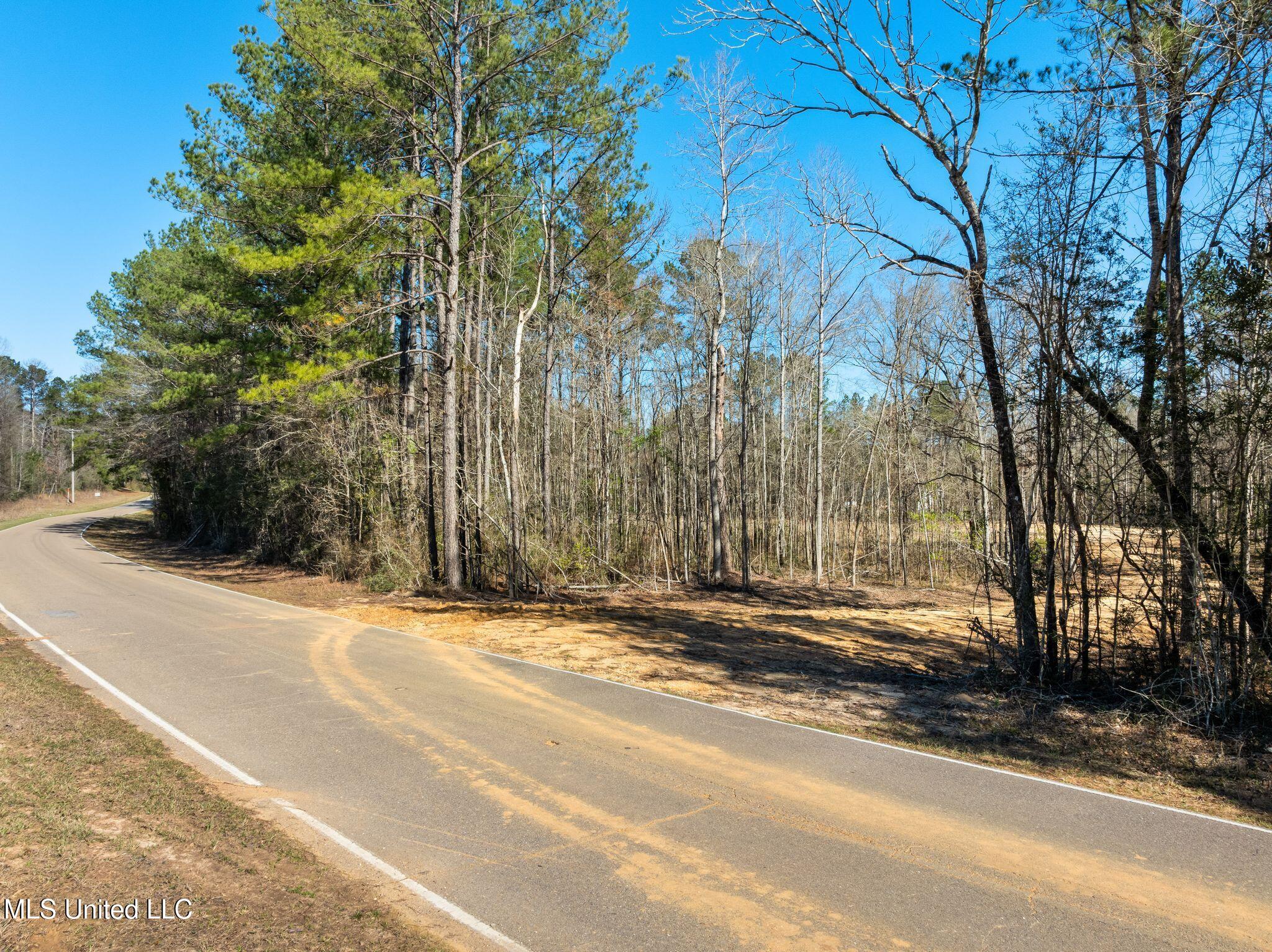 7.26-acres Lott Town Road Hattiesburg, MS 39402 - Photo 4 of 17 310_Lott_Town_Rd-4