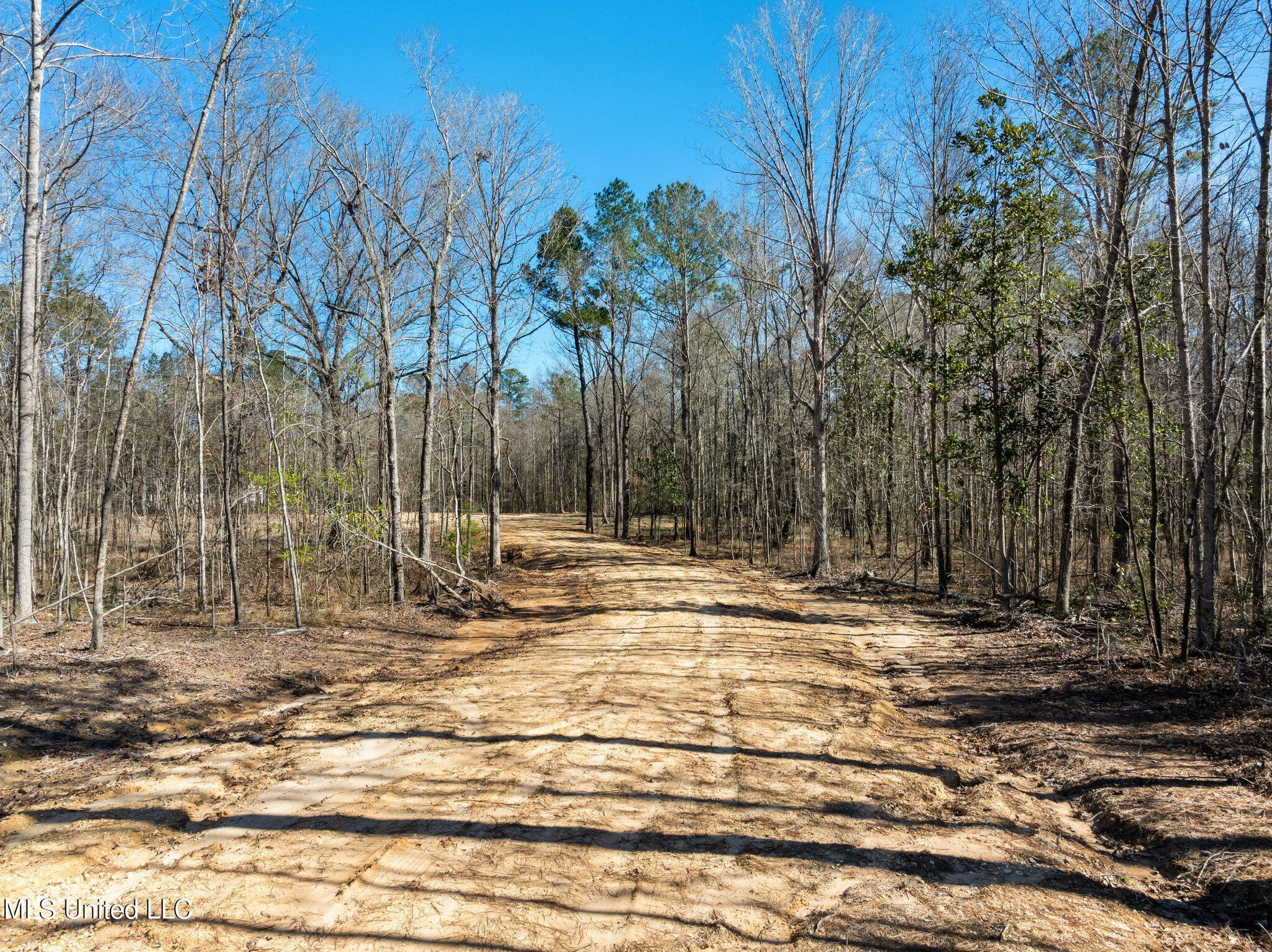 7.26-acres Lott Town Road Hattiesburg, MS 39402 - Photo 5 of 17 310_Lott_Town_Rd-5