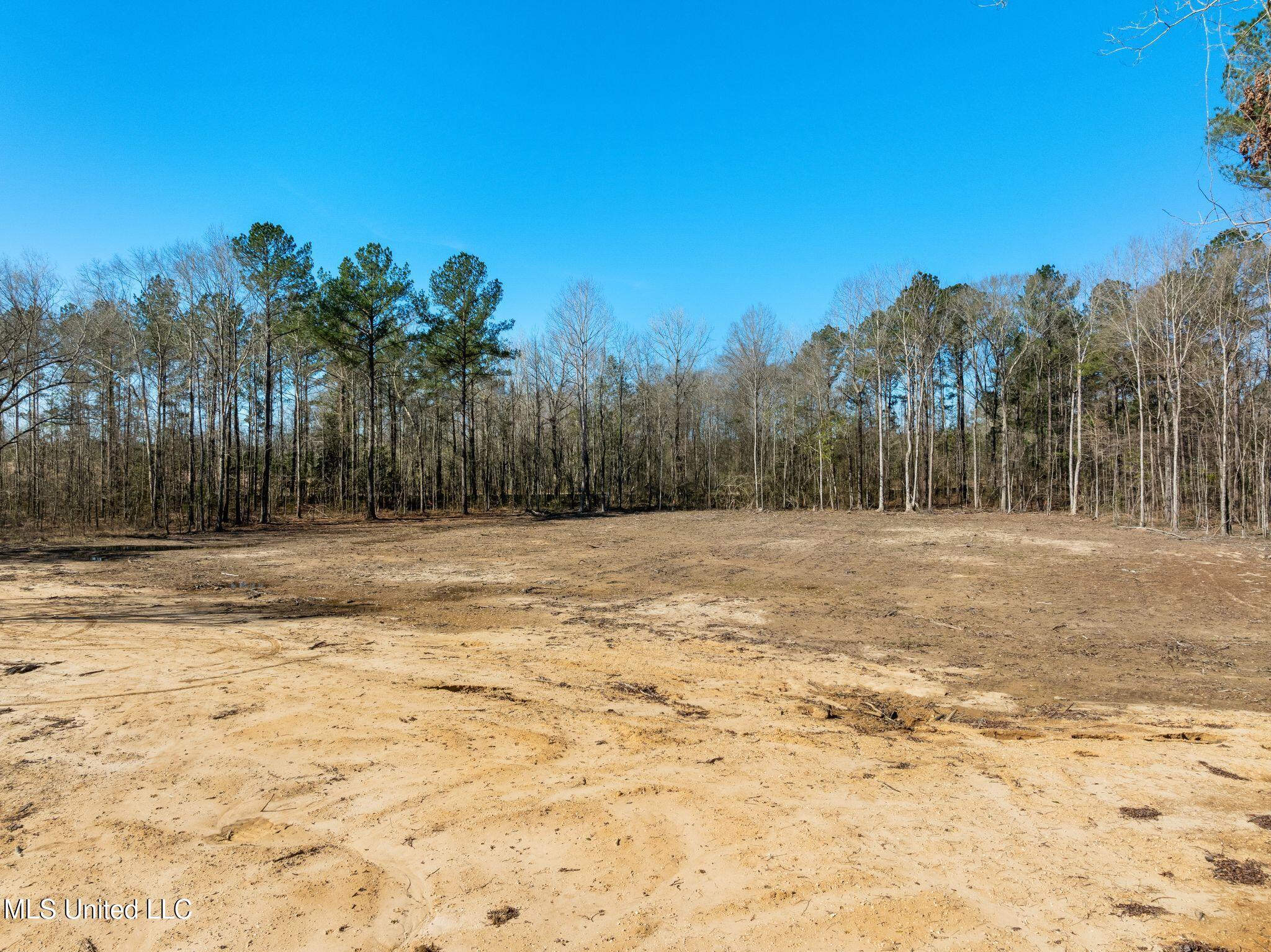 7.26-acres Lott Town Road Hattiesburg, MS 39402 - Photo 6 of 17 310_Lott_Town_Rd-6