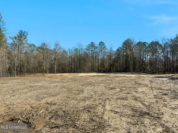 $80,000 | 7.26-acres Lott Town Road, Hattiesburg, MS 39402