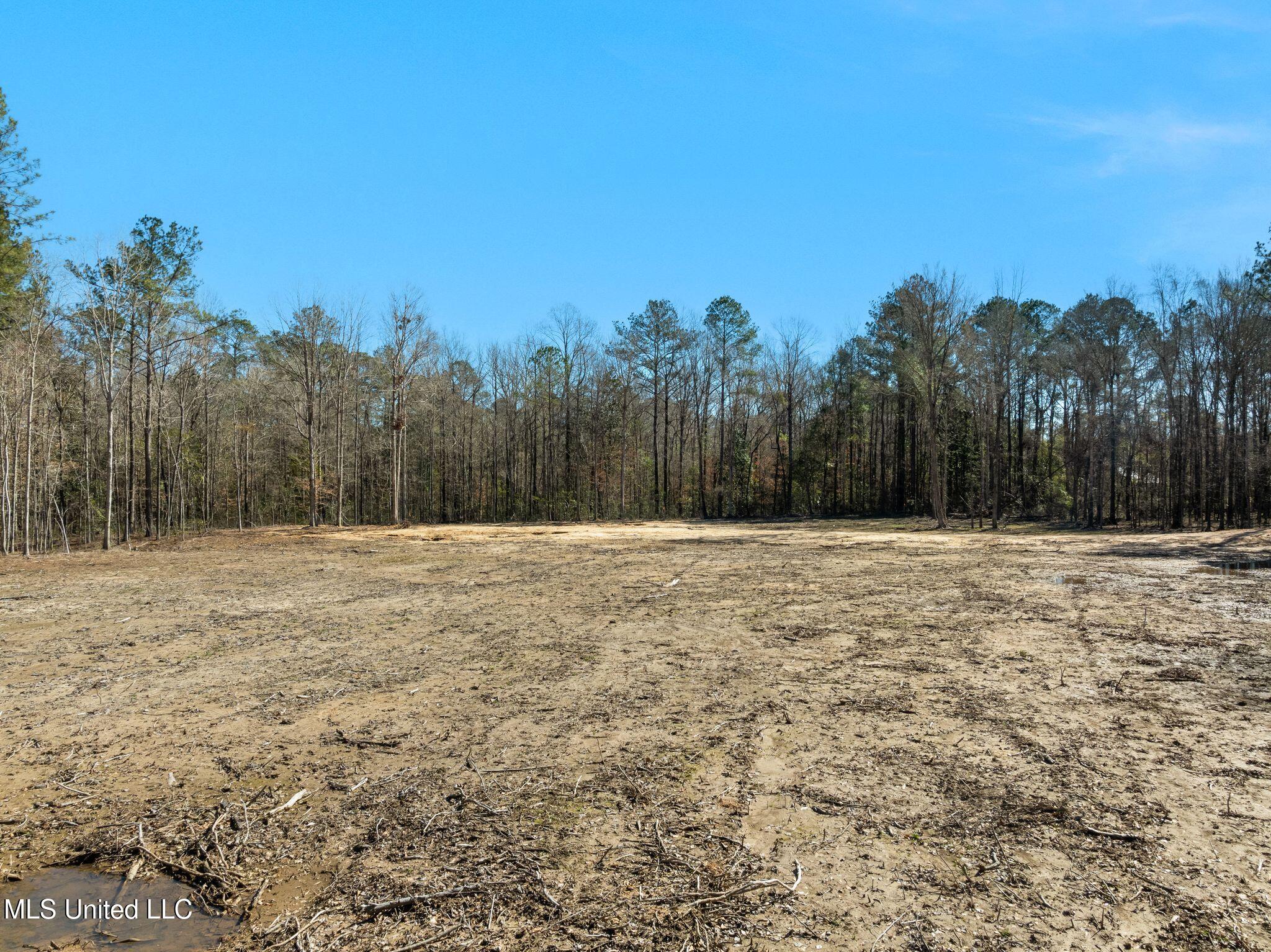 7.26-acres Lott Town Road Hattiesburg, MS 39402 - Photo 7 of 17 310_Lott_Town_Rd-7
