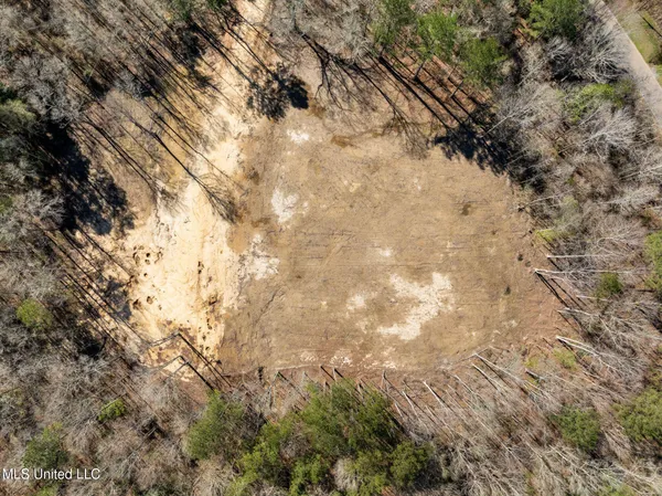 $80,000 | 7.26-acres Lott Town Road, Hattiesburg, MS 39402