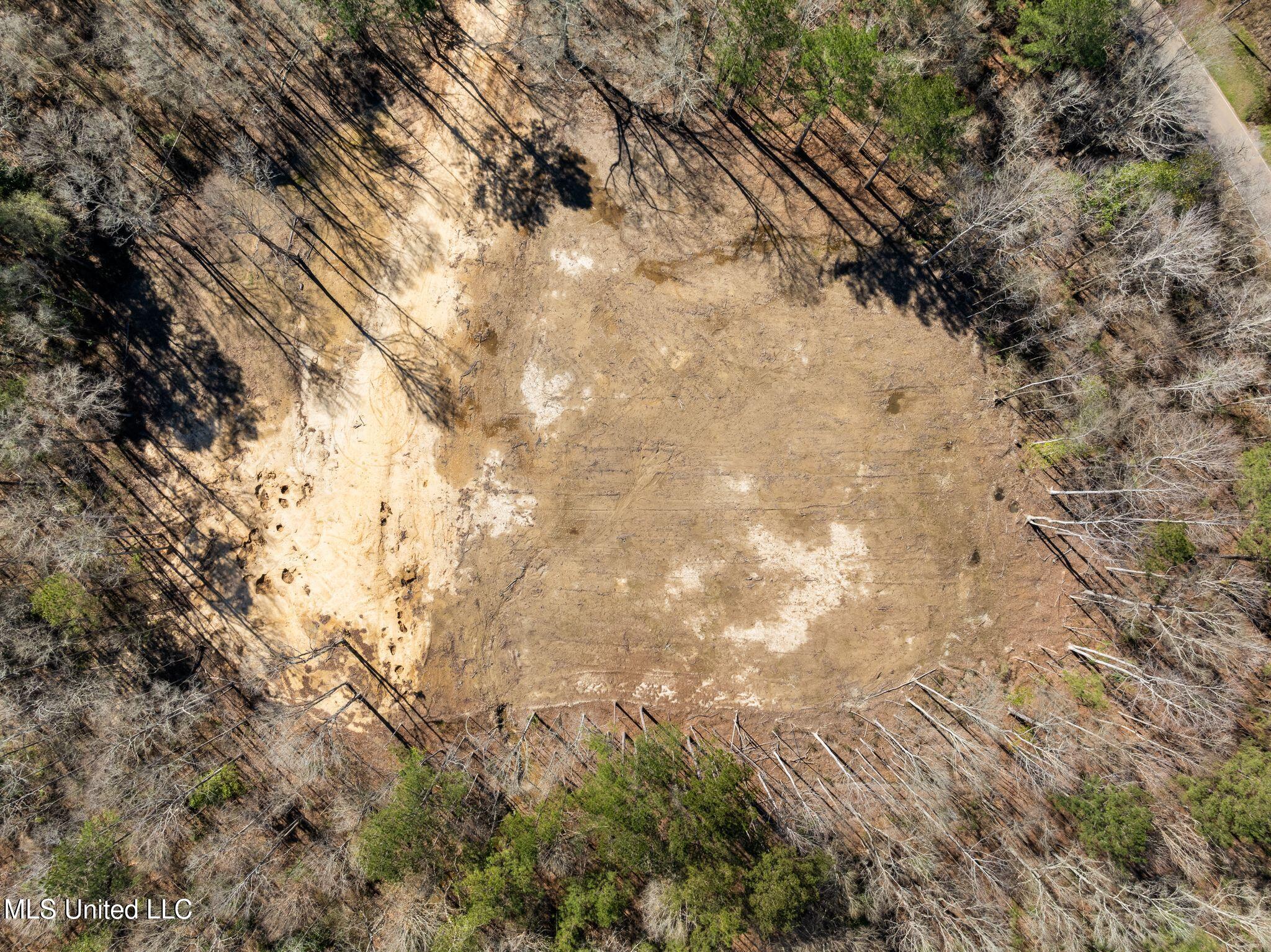 7.26-acres Lott Town Road Hattiesburg, MS 39402 - Photo 8 of 17 310_Lott_Town_Rd-8