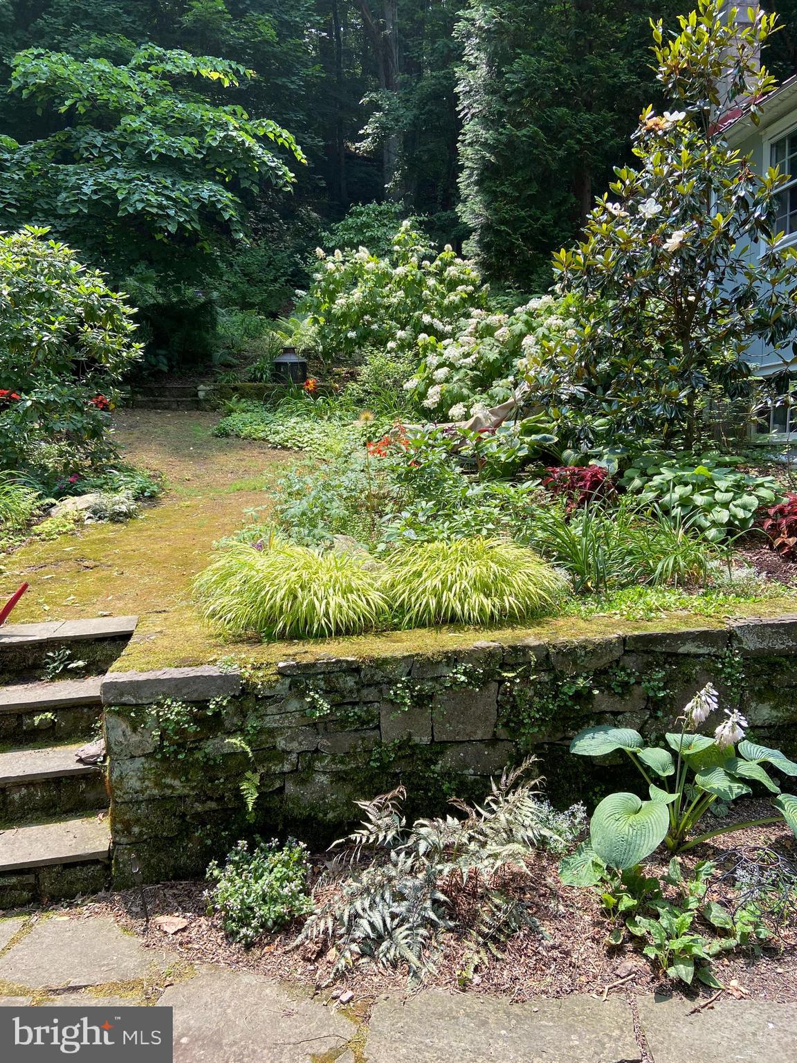 3673 River Road Lumberville, PA 18933 - Photo 41 of 53 Gorgeous native plantings