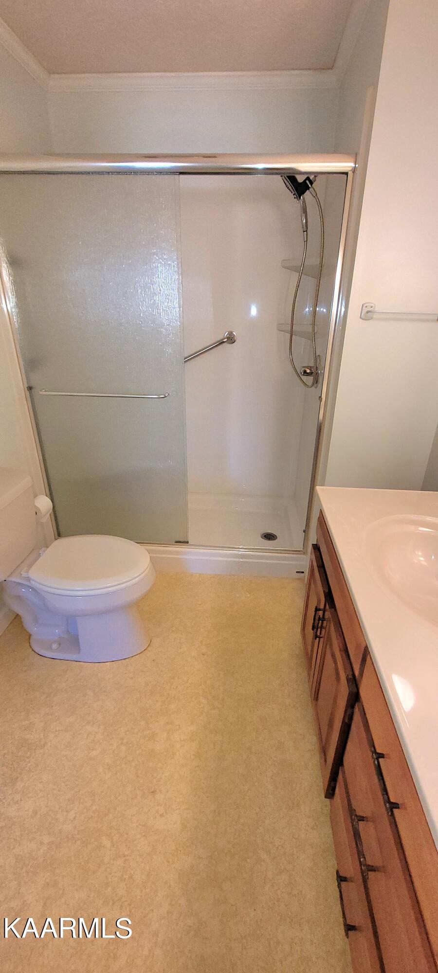 115 Claremont Road Oak Ridge, TN 37830 - Photo 26 of 39 a bathroom with a sink and toilet
