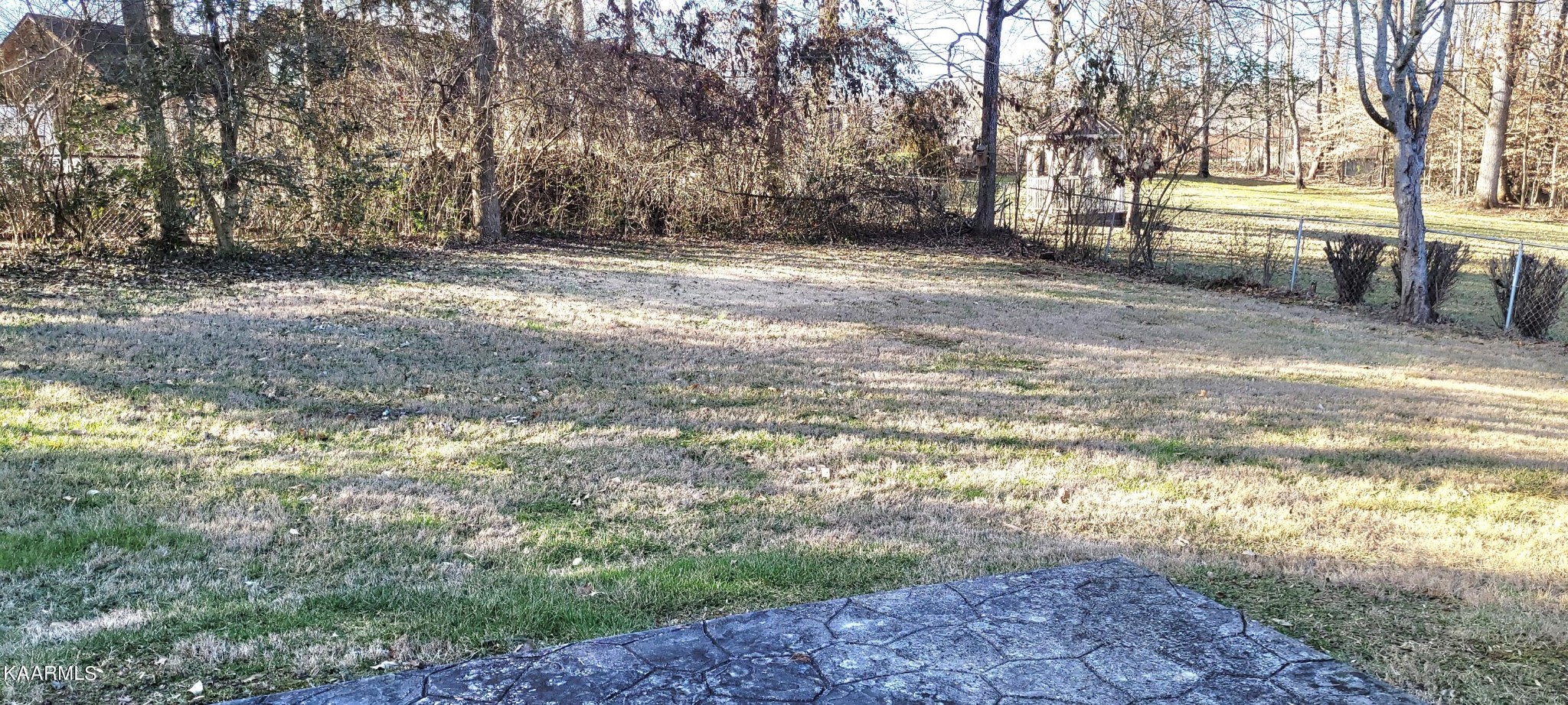 115 Claremont Road Oak Ridge, TN 37830 - Photo 33 of 39 a view of a yard with large trees