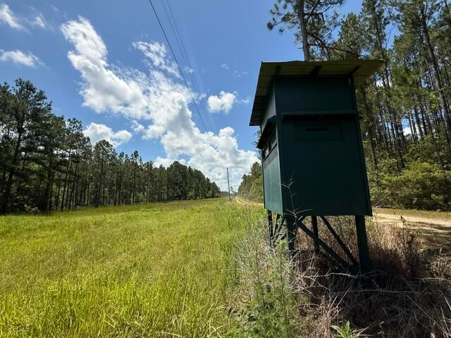 0 Elmer Hamilton Road Moss Point, MS 39562 - Photo 22 of 22 Gallery Image 22