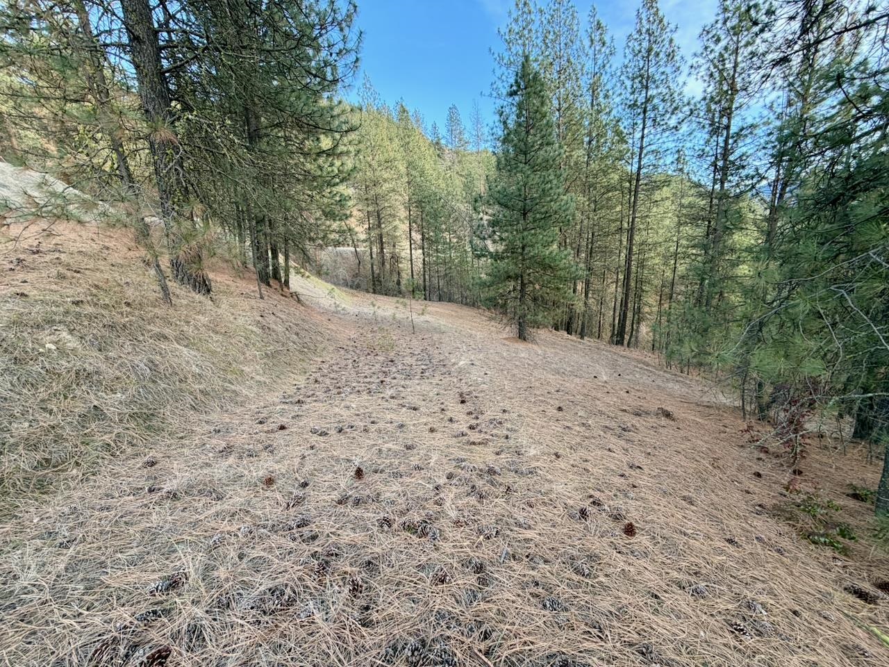 1199 Gold Edge Mine Road Kettle Falls, WA 99141 - Photo 11 of 27