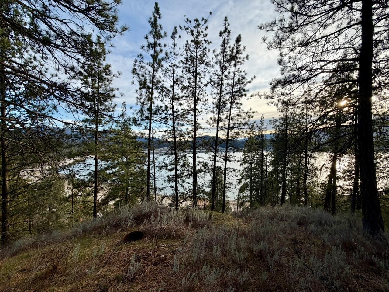 1199 Gold Edge Mine Road Kettle Falls, WA 99141 - Photo 13 of 27