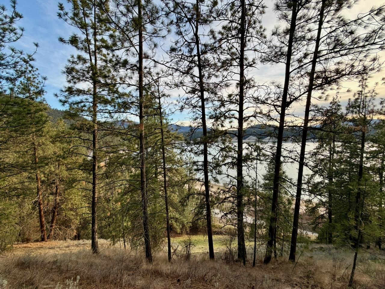 1199 Gold Edge Mine Road Kettle Falls, WA 99141 - Photo 14 of 27