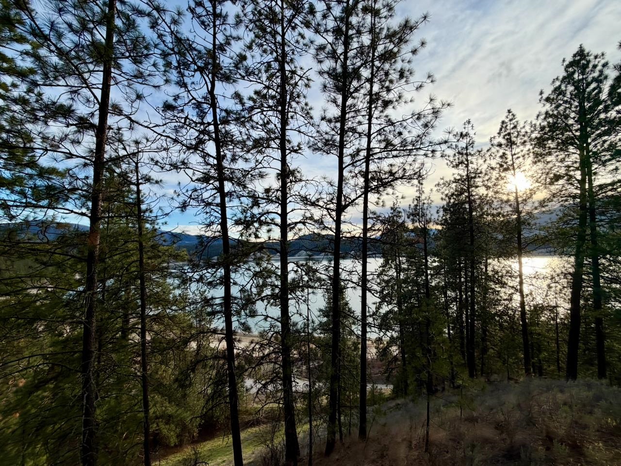 1199 Gold Edge Mine Road Kettle Falls, WA 99141 - Photo 15 of 27