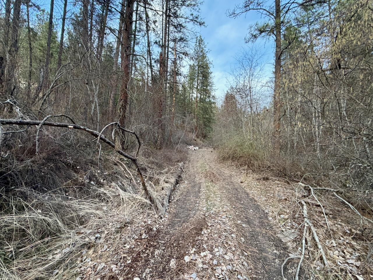 1199 Gold Edge Mine Road Kettle Falls, WA 99141 - Photo 23 of 27