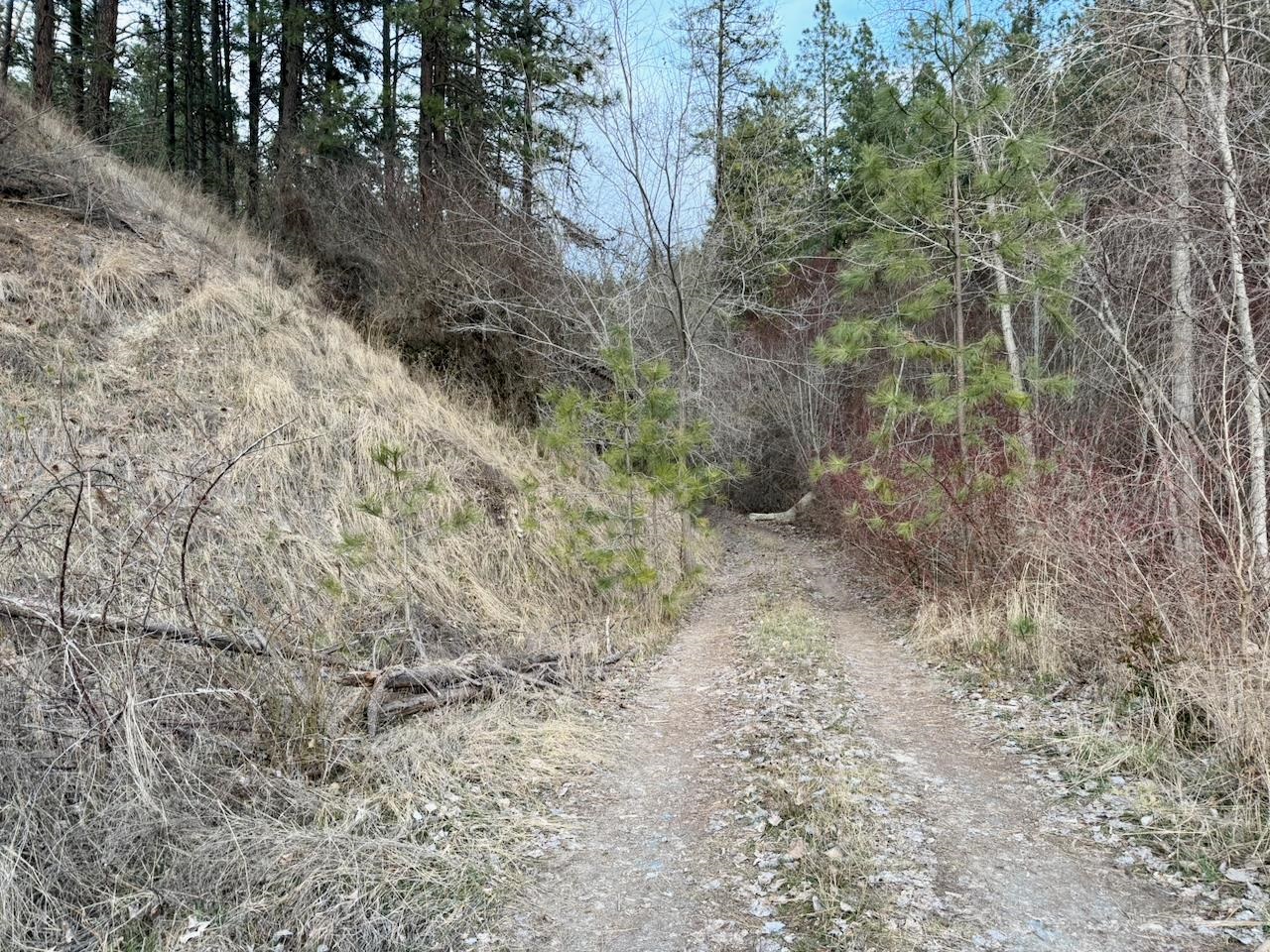 1199 Gold Edge Mine Road Kettle Falls, WA 99141 - Photo 24 of 27