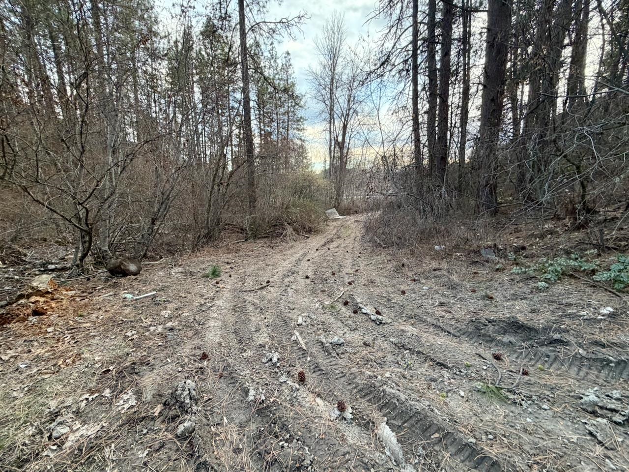 1199 Gold Edge Mine Road Kettle Falls, WA 99141 - Photo 25 of 27