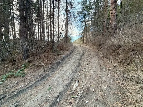 $399,950 | 1199 Gold Edge Mine Road, Kettle Falls, WA 99141