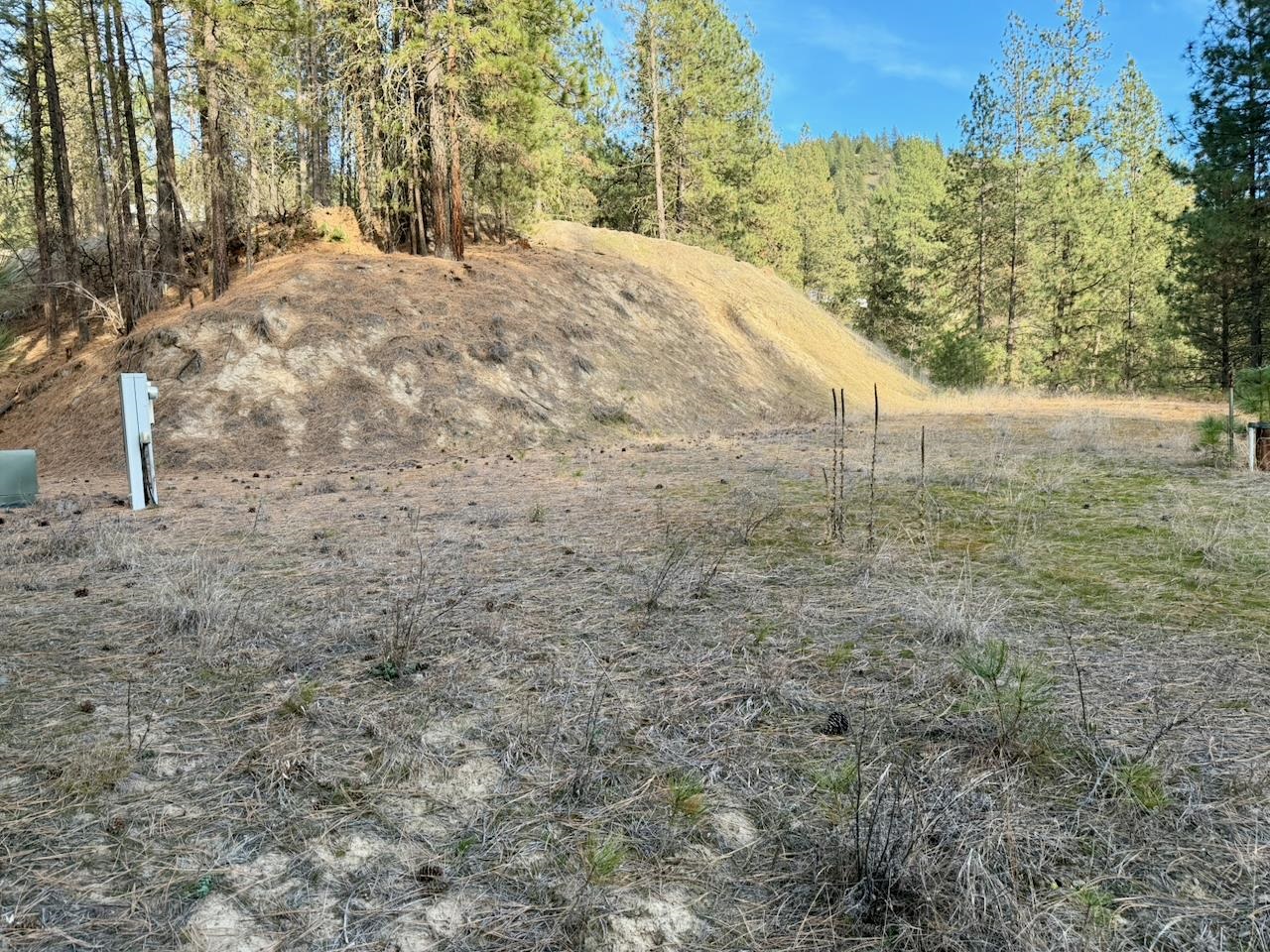 1199 Gold Edge Mine Road Kettle Falls, WA 99141 - Photo 5 of 27