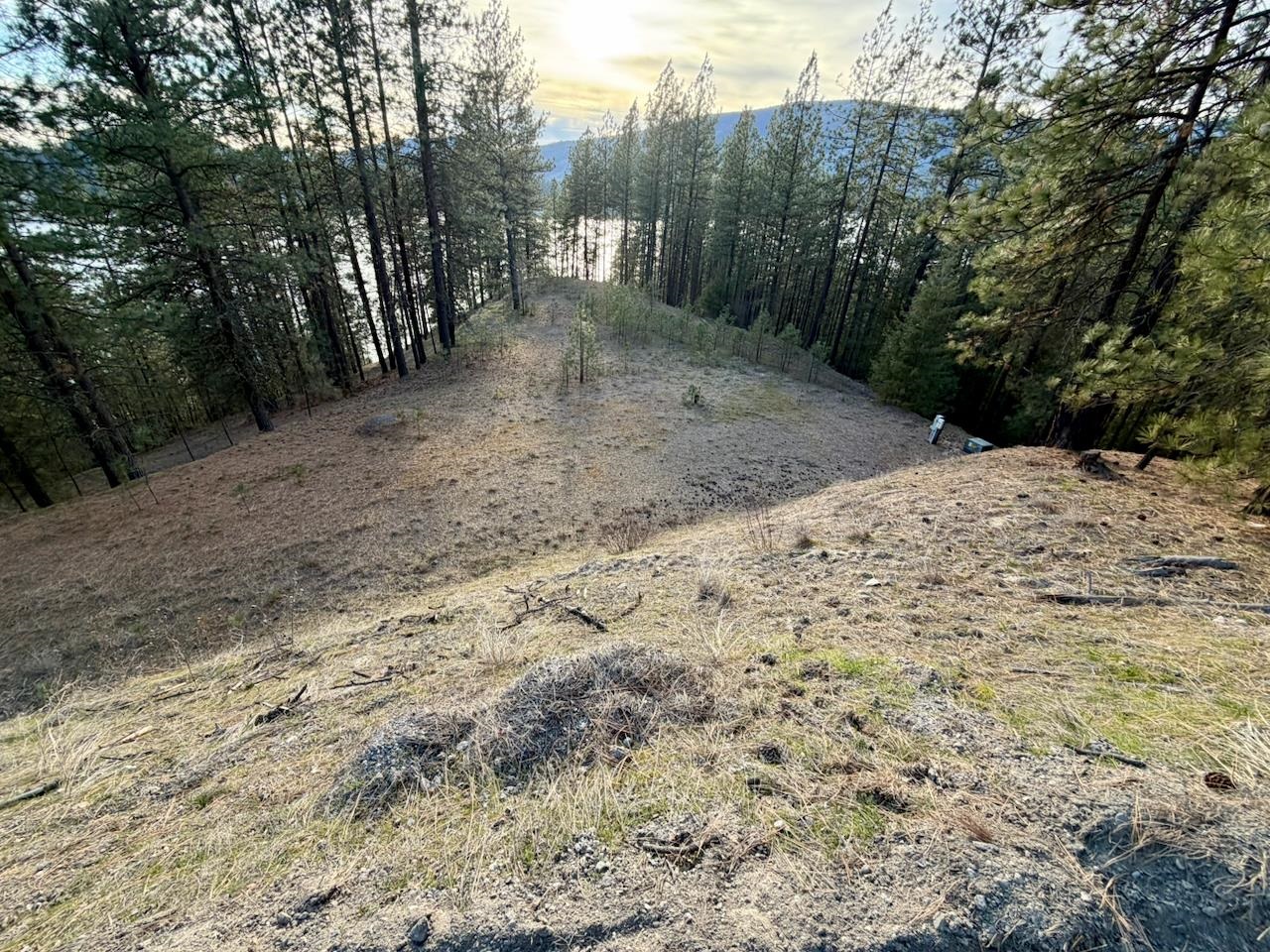 1199 Gold Edge Mine Road Kettle Falls, WA 99141 - Photo 6 of 27