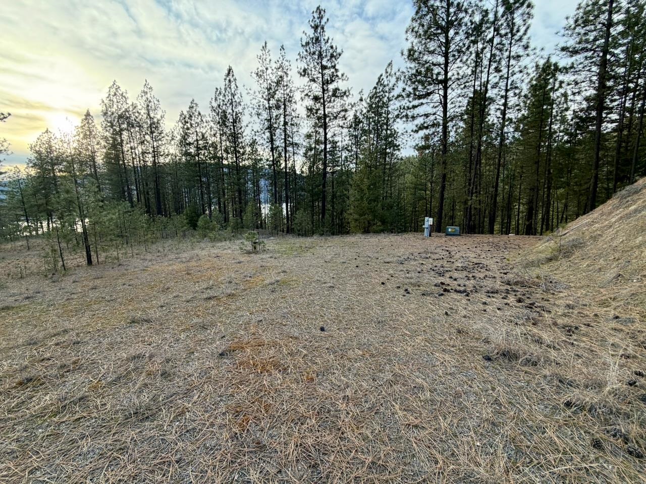 1199 Gold Edge Mine Road Kettle Falls, WA 99141 - Photo 7 of 27