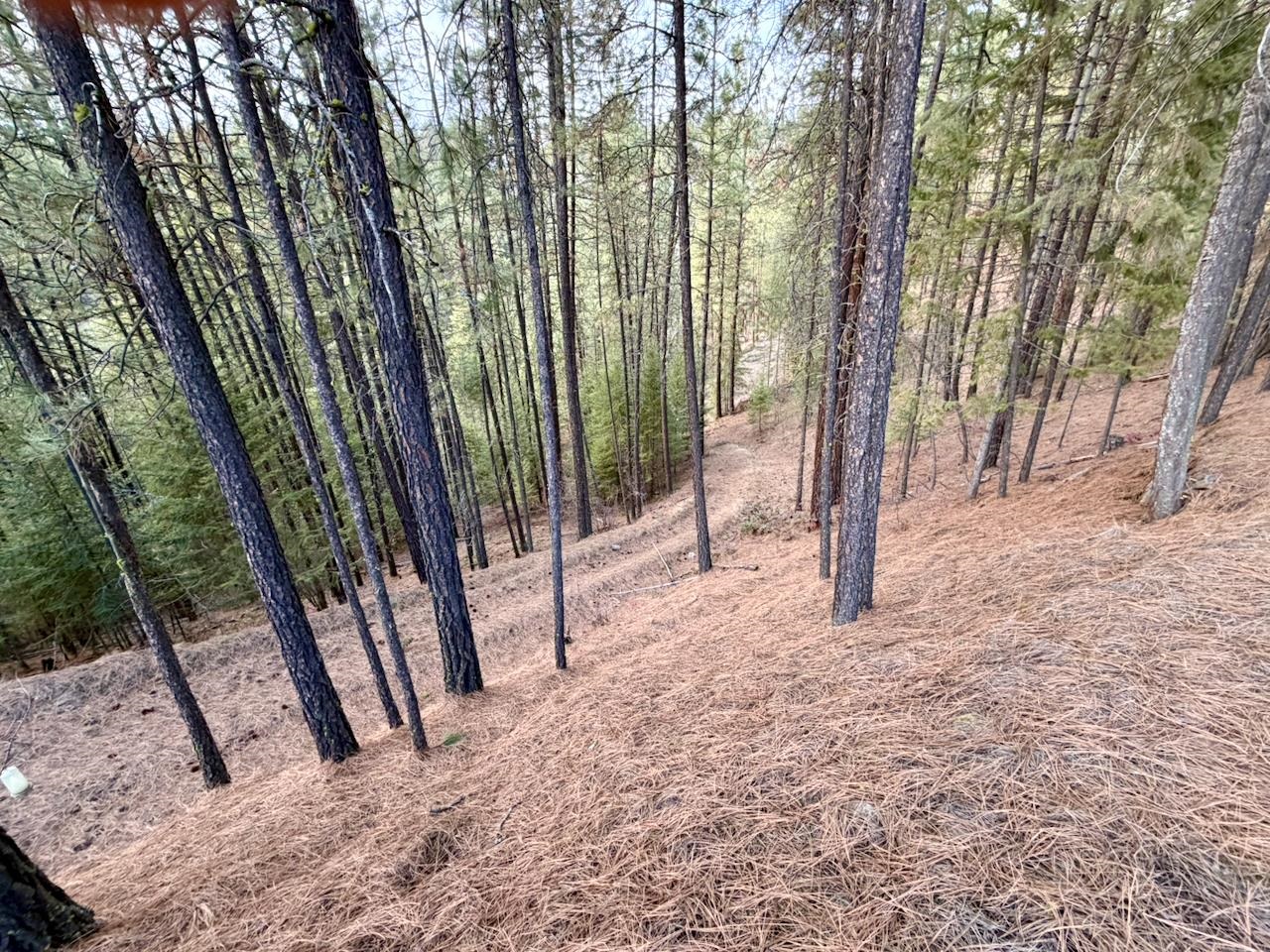 1199 Gold Edge Mine Road Kettle Falls, WA 99141 - Photo 9 of 27