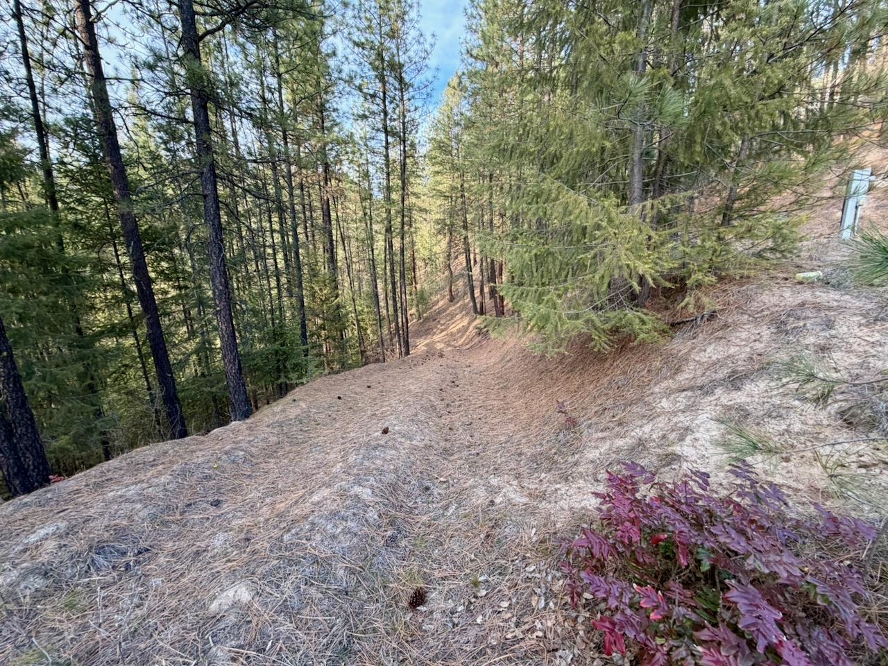 1199 Gold Edge Mine Road Kettle Falls, WA 99141 - Photo 10 of 27