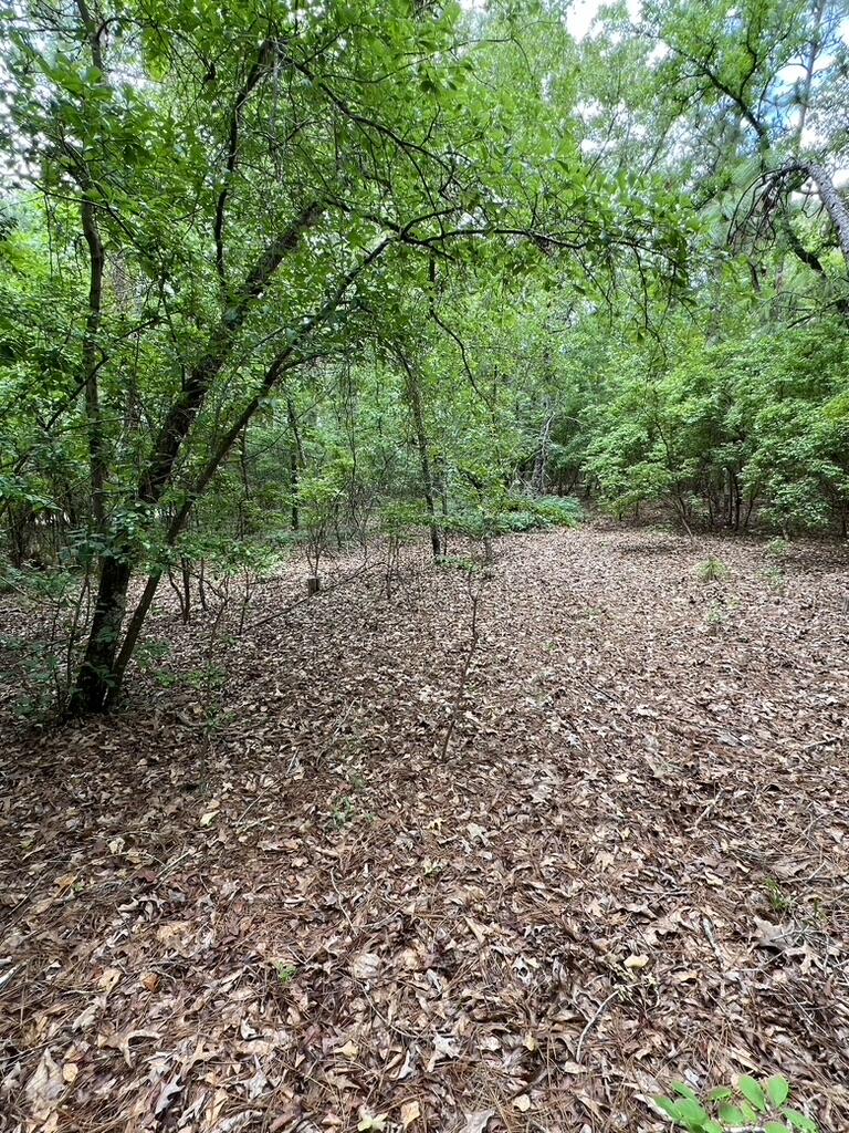 0 Shell Stone Trail Aiken, SC 29803 - Photo 6 of 6