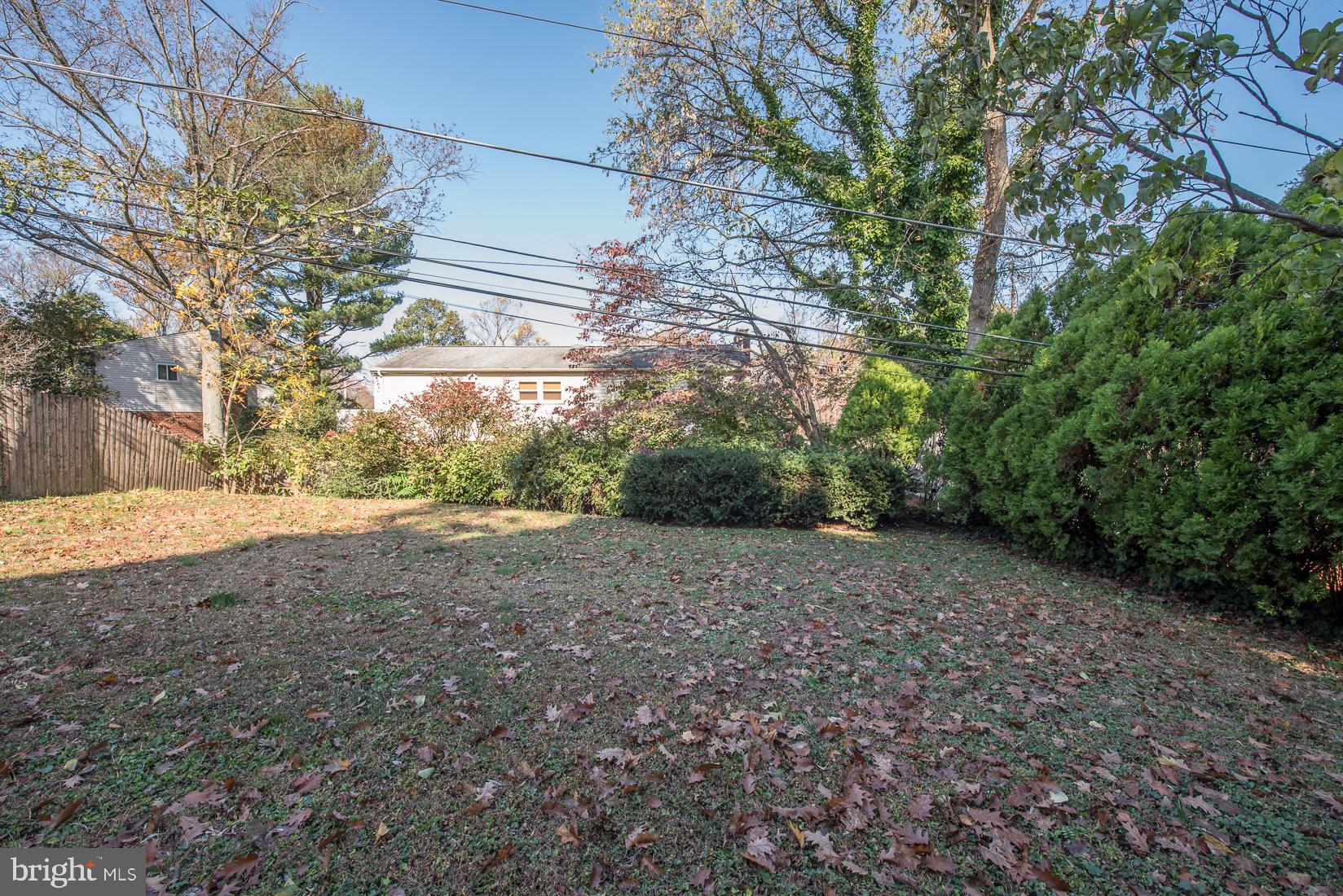 19 West Amherst Road Bala Cynwyd, PA 19004 - Photo 33 of 34 Backyard