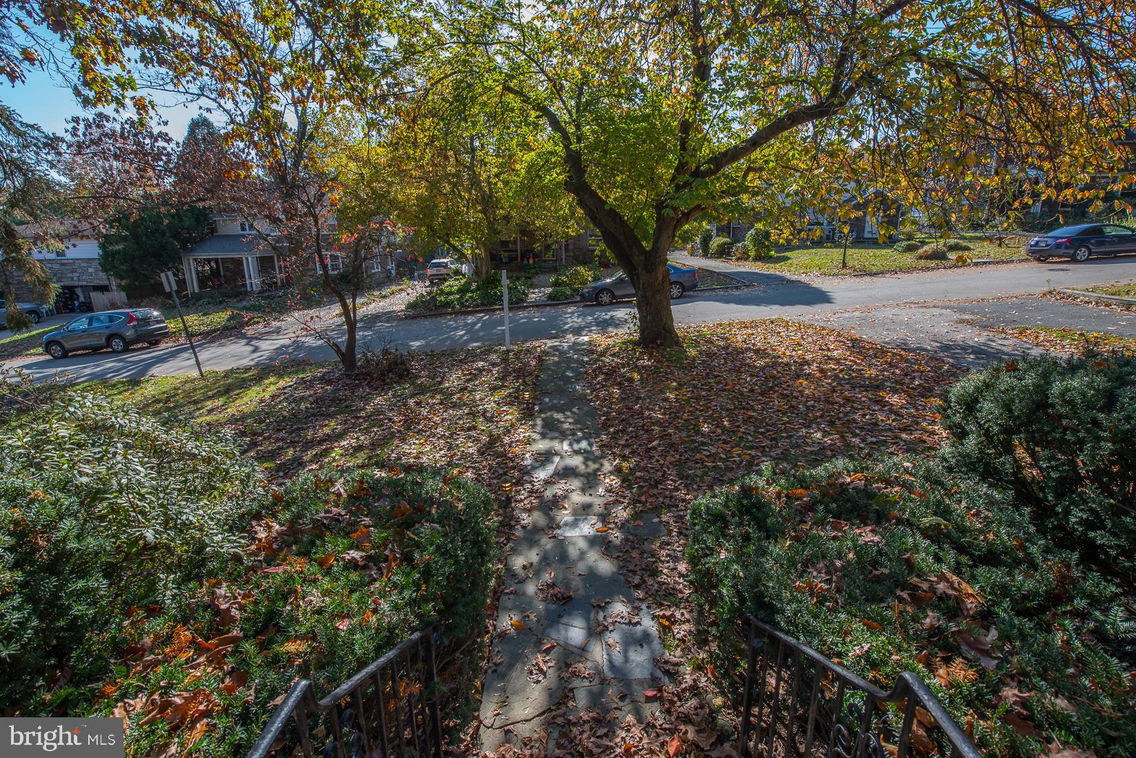 19 West Amherst Road Bala Cynwyd, PA 19004 - Photo 34 of 34 Front Yard