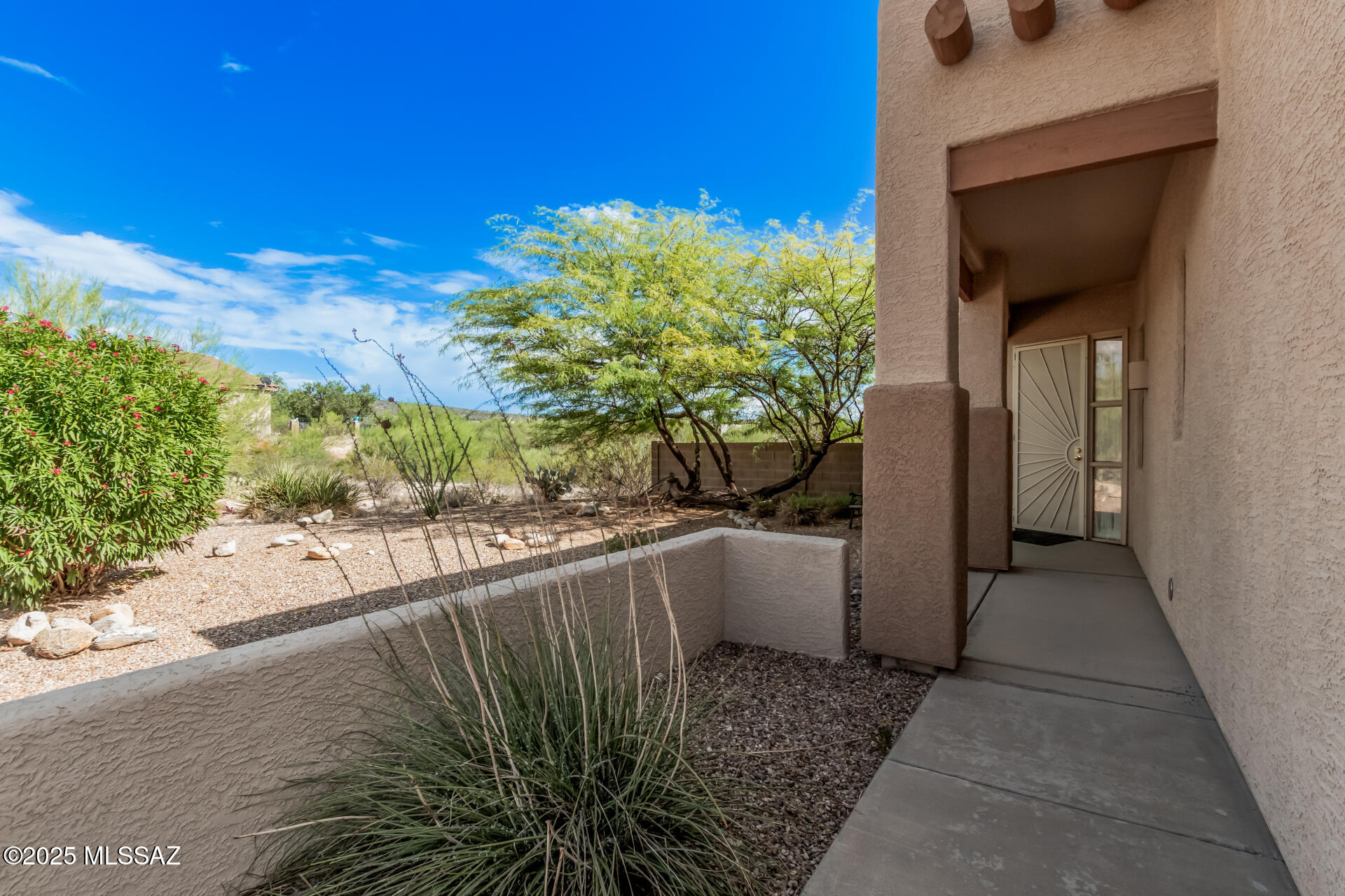 10836 South Heart Break Ridge Place Vail, AZ 85641 - Photo 8 of 42