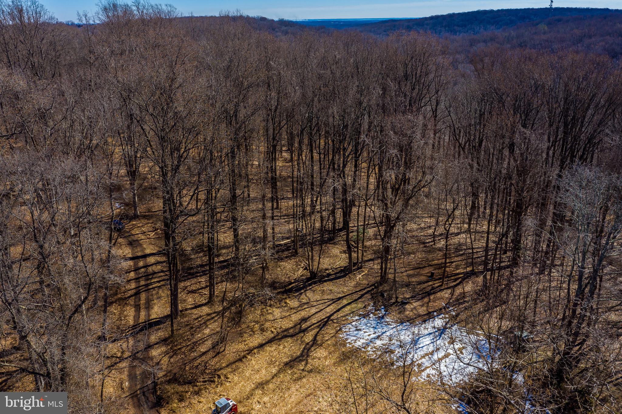 3013 Harford Road Fallston, MD 21047 - Photo 1 of 19 a view of a yard with trees