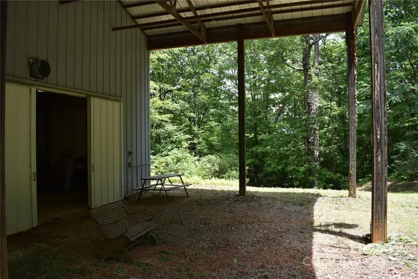 a view of a yard with plants and tree