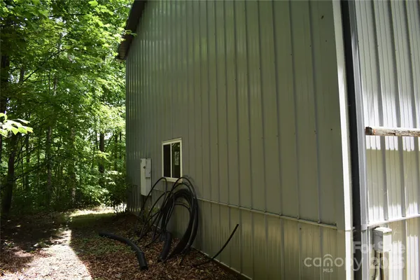 a view of a yard with plants and tree