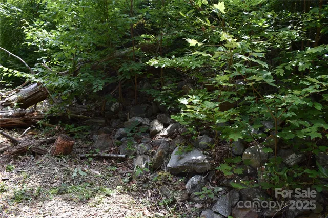 $289,000 | 50 Firefly Spgs Lane, Candler, NC 28715