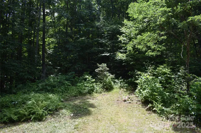 $289,000 | 50 Firefly Spgs Lane, Candler, NC 28715