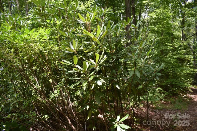 $289,000 | 50 Firefly Spgs Lane, Candler, NC 28715