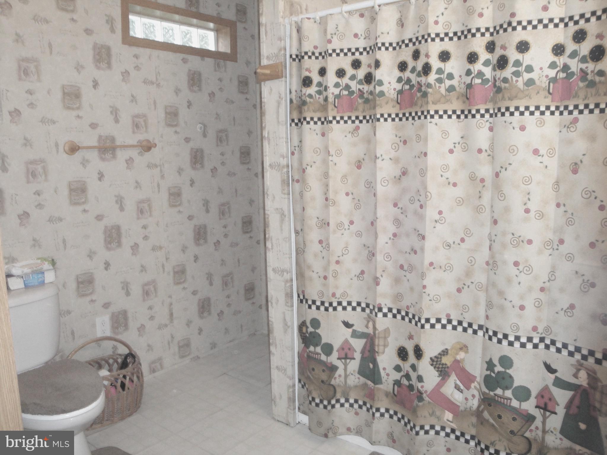 80 Lengle Homestead Road Pine Grove, PA 17963 - Photo 24 of 34 master bath