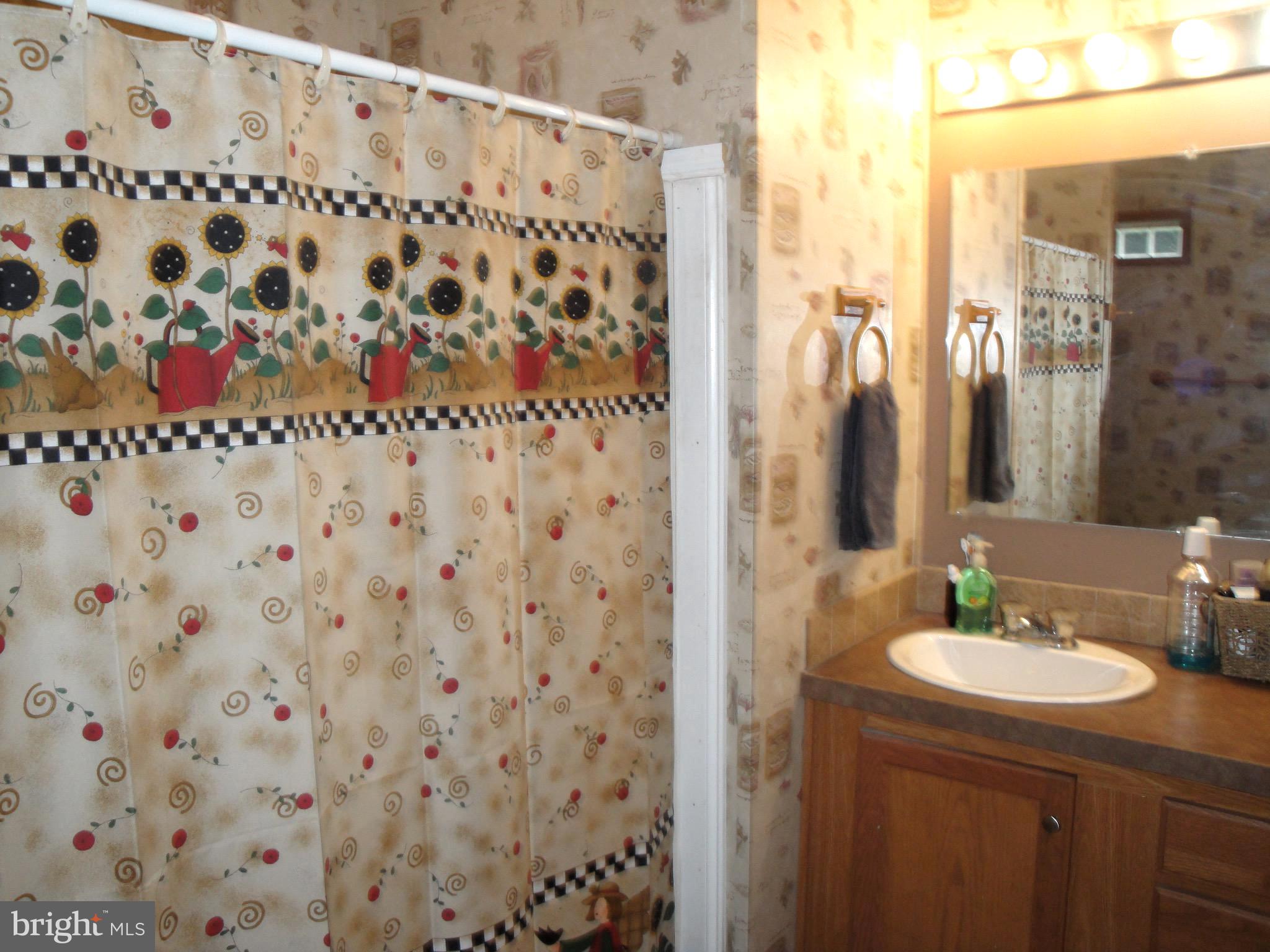 80 Lengle Homestead Road Pine Grove, PA 17963 - Photo 25 of 34 master bath