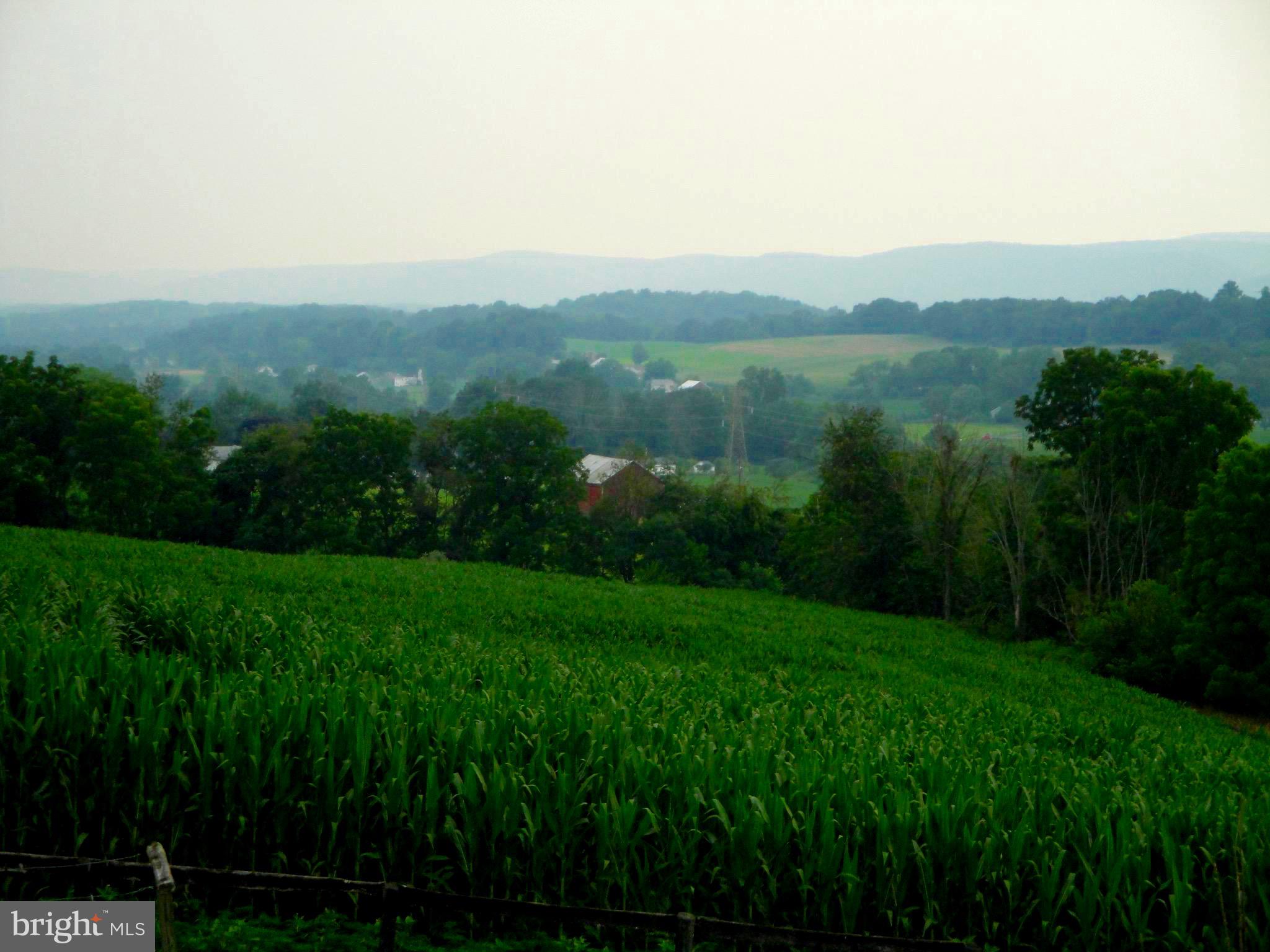 80 Lengle Homestead Road Pine Grove, PA 17963 - Photo 6 of 34 view from front deck