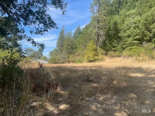 a view of a yard with a tree