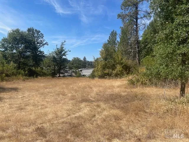 a view of outdoor space and trees