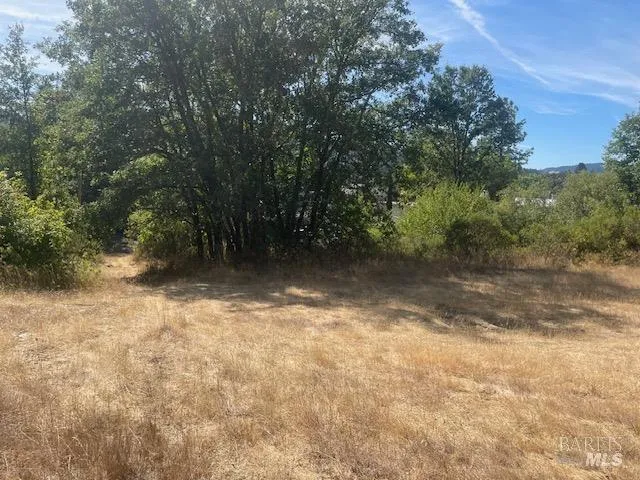 a view of backyard with green space