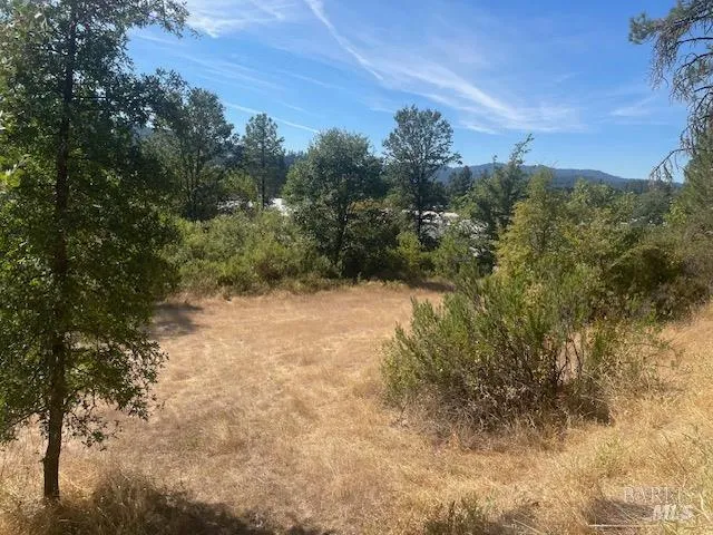 a view of a yard with a tree